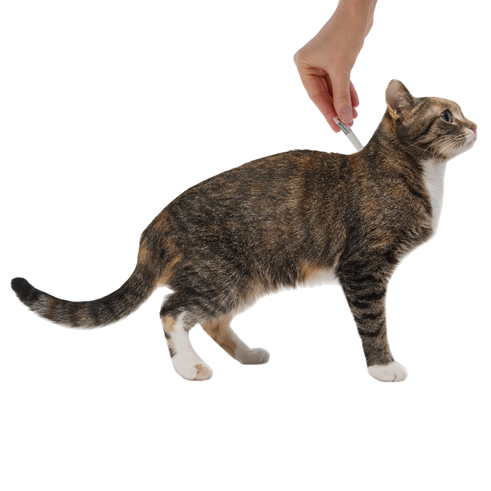 Весы для кошек купить. Профендер для кошек. Bayer адвокат для кошек 4-8 кг (1 пипетка, 0,8 мл.). Капли на холку для кошек Профендер. Профендер для кошек 5-8 кг.