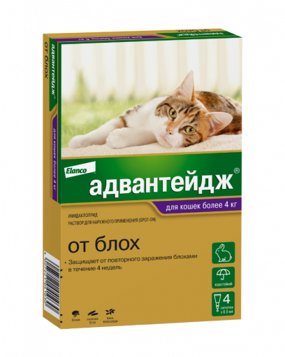 Адвантейдж капли инсектицидные для кошек более 4 кг (4 пипетки)