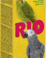 RIO палочки для попугаев с орехами и медом