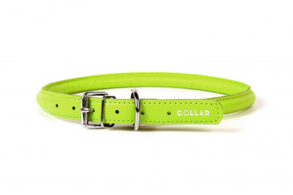 CoLLaR Glamour Ошейник круглый для длинношерстных собак, зелёный, ширина 6 мм, длина 25-33 см