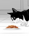 Felix Аппетитные кусочки. Корм консервированный полнорационный для взрослых кошек, с лососем в желе