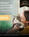 Сухой корм Pro Plan LiveClear сухой корм для стерилизованных кошек и кастрированных котов от 1 года, с высоким содержанием индейки