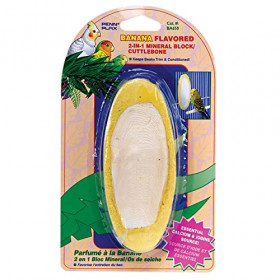 Панцирь каракатицы с банановым вкусом (сепия) (BA650)