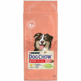 Dog Chow Корм сухой для взрослых активных собак с курицей