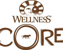 Wellness CORE