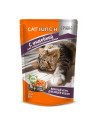 Cat Lunch консервированный корм для кошек кусочки в соусе с индейкой 85 г