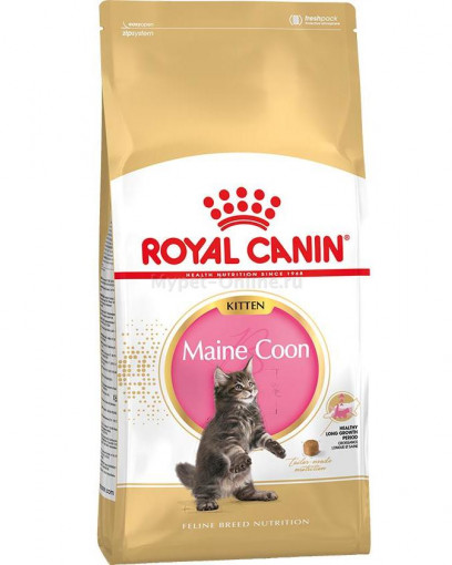 Корм для котят Royal Canin Kitten Maine Coon породы Мейн Кун