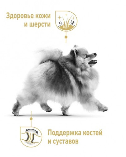Корм для собак Royal Canin Pomeranian Adult, c 8 месяцев