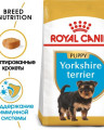 Корм для щенков Royal Canin Yorkshire Terrier Puppy, до 10 месяцев